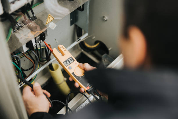 Best Electric Panel Repair  in Sutton Alpine, AK